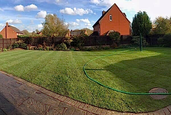 A well-maintained backyard with lush green turf laying neatly, surrounded by a wooden fence. Several red-brick houses are visible in the background. A green garden hose is coiled on the lawn, and a paved walkway curves along the left side of the yard. The sky is partly cloudy.